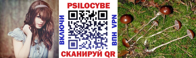 Купить закладки  Щучье  Псилоцибиновые грибы GOLDEN TEACHER 