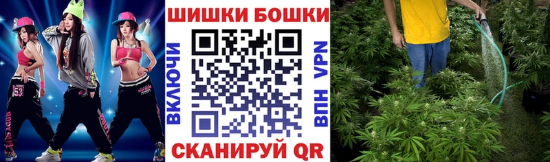 Бошки Шишки гибрид  Купить  Щучье 